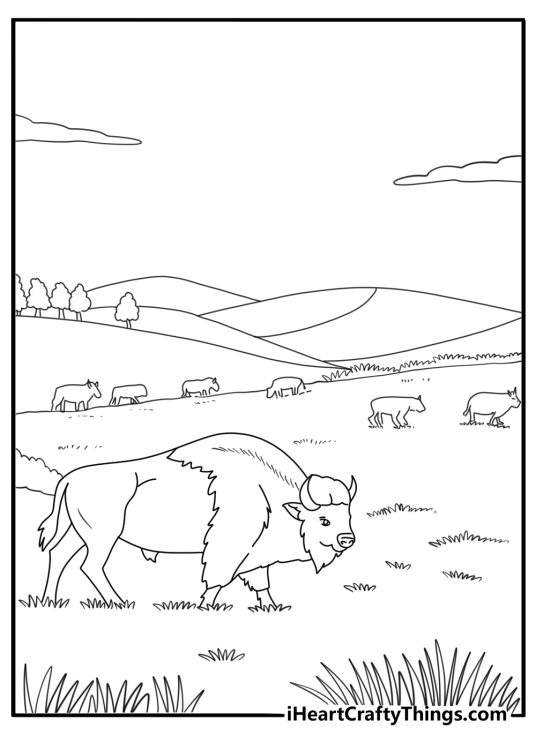 Bison herd grazing in an open plain easy coloring page for kids