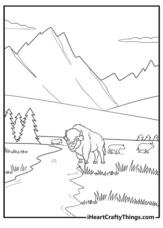 Bison in the distance with mountains behind coloring page