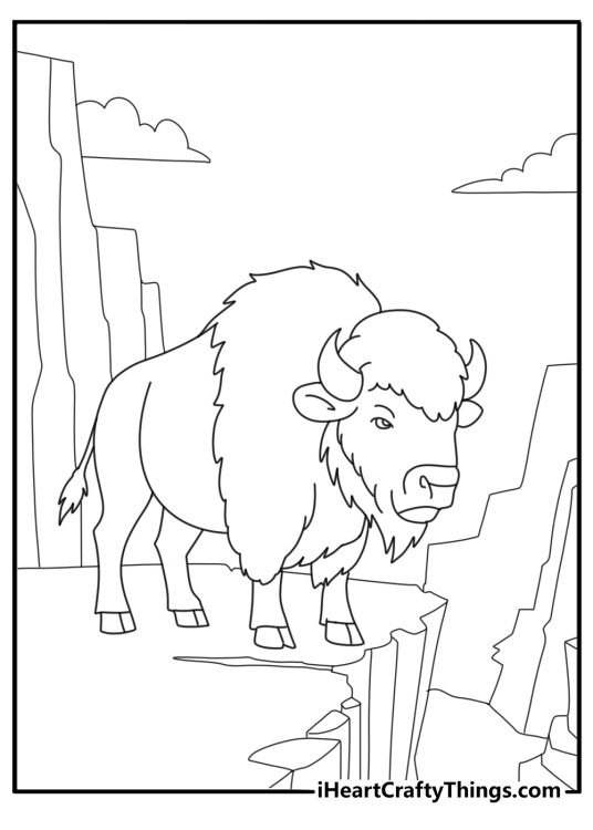 Bison looking over a canyon easy coloring page