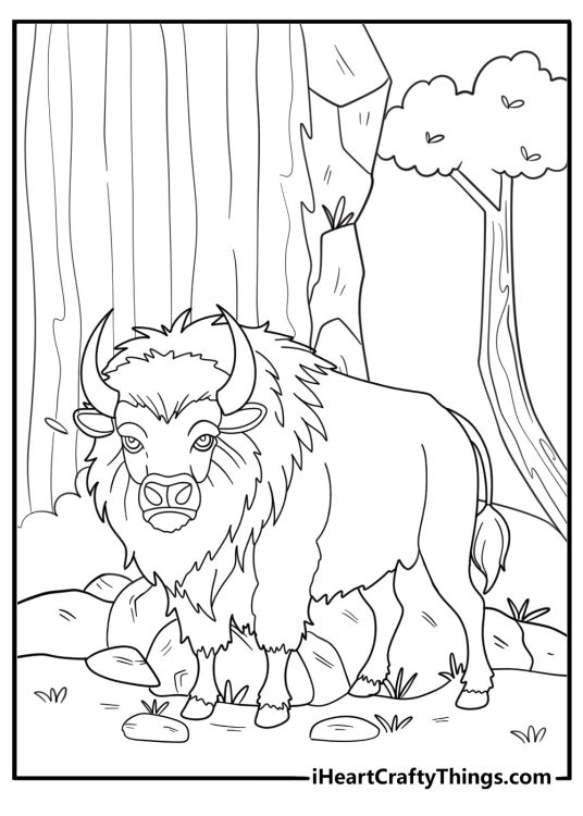 Bison near a waterfall forest background coloring sheet