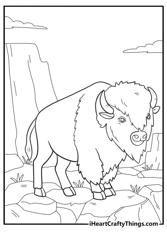 Bison on a rocky hillside cartoon style coloring sheet