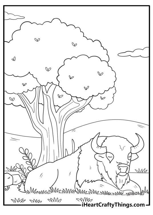 Bison resting under a tree nature themed coloring sheet
