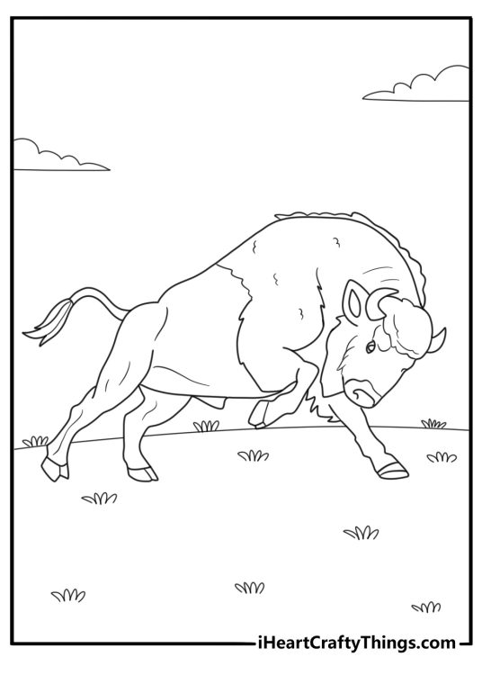 Bison running across the plain realistic style coloring sheet