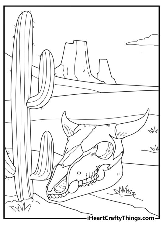 Bison skull on desert ground for adults western style coloring sheet