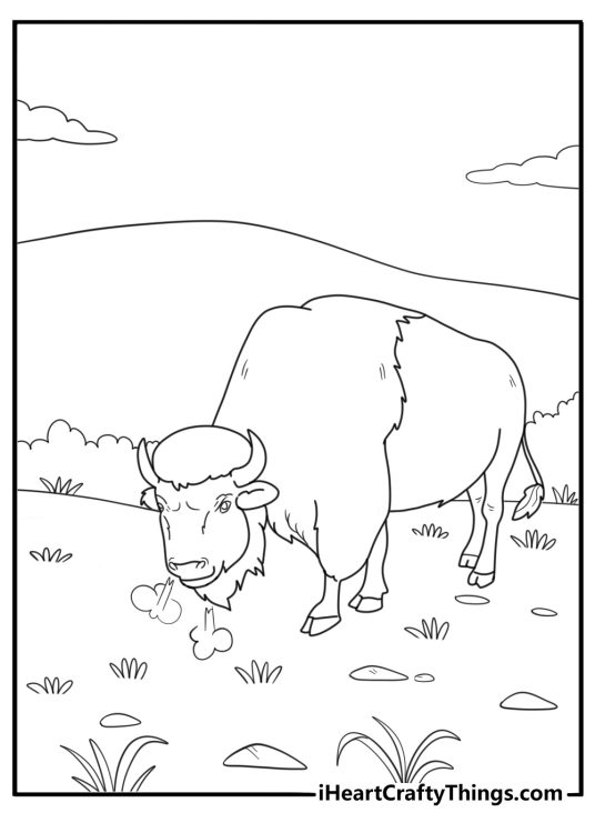 Bison sniffing the ground natural pose coloring page