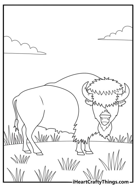 Bison standing in a grassy field simple coloring page
