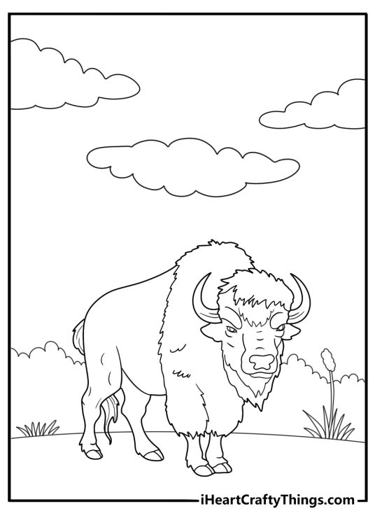 Bison under cloudy sky large horns visible coloring page