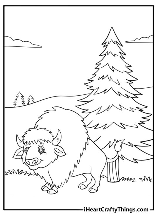 Bison wandering near pine trees easy nature coloring sheet