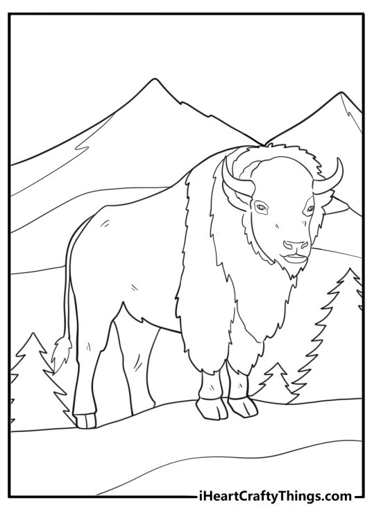 Bison with shaggy coat in cold weather coloring sheet