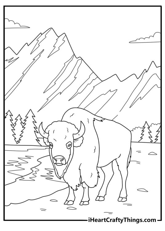 Bison with thick winter fur mountain background coloring page