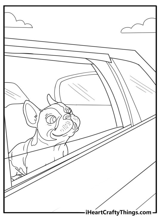 Boston terrier in a car seat on a road trip coloring sheet
