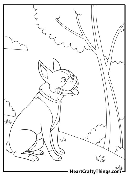 Boston terrier looking curious near a tree cartoon style coloring sheet