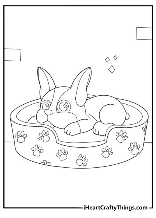 Boston terrier lying in a dog bed kawaii coloring page
