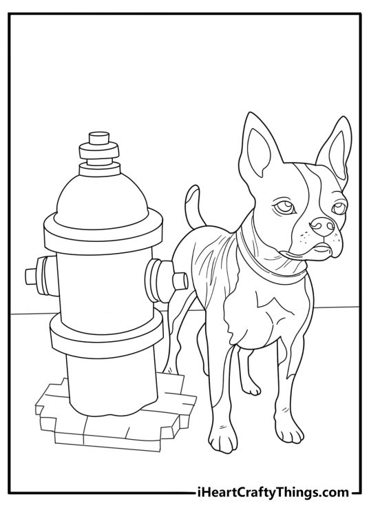 Boston terrier next to a fire hydrant simple coloring sheet