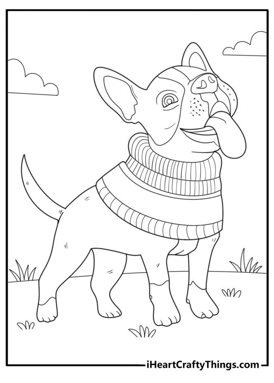 Boston terrier wearing a sweater simple coloring page