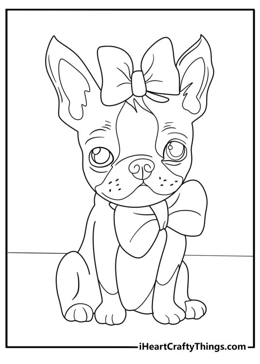 Boston terrier with a bow tie on a pillow kawaii coloring page