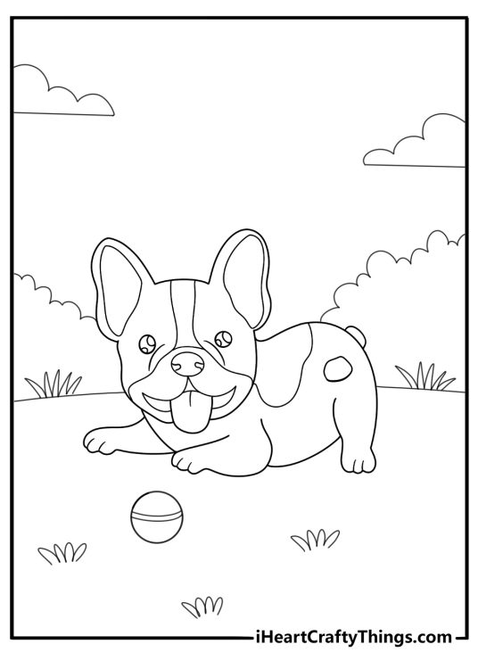 Boston terrier with a tennis ball in the yard cartoon coloring sheet
