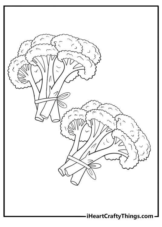 Broccoli bunch tied with string farm fresh coloring page