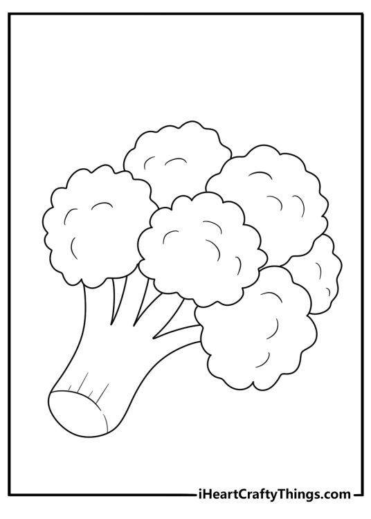 Broccoli head with large florets easy coloring page forkids