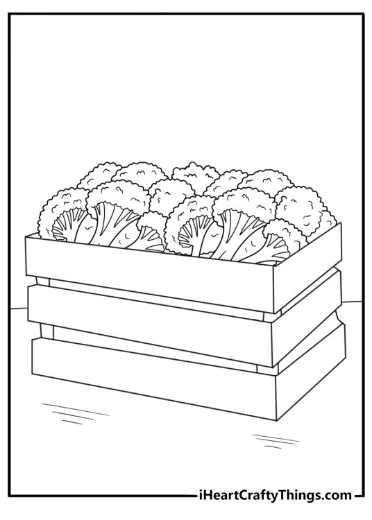 Broccoli in a wooden crate farm harvest coloring sheet