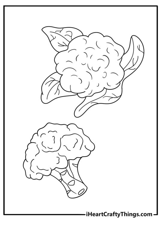 Broccoli next to cauliflower vegetable duo coloring sheet