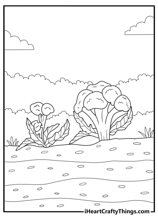 Broccoli plant growing in a garden simple coloring page