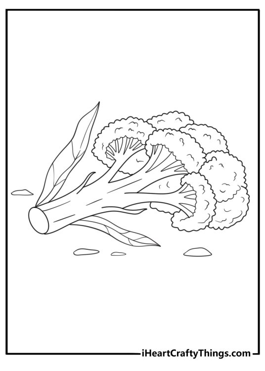 Broccoli stalk with leaves fresh produce coloring page