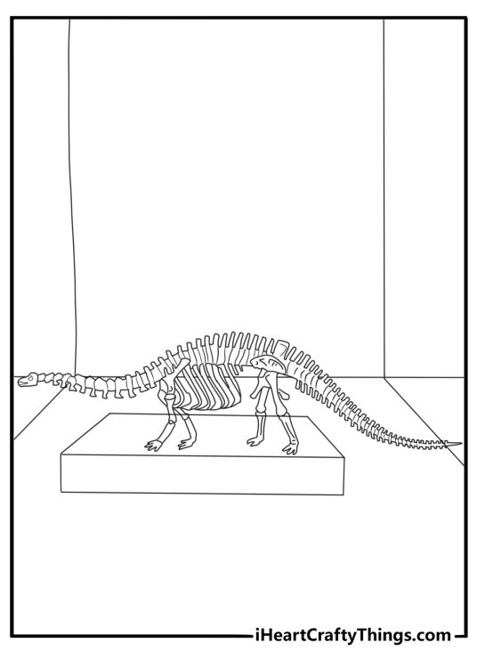 Brontosaurus fossil bones displayed in museum coloring page