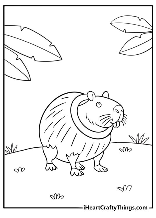 Burbaloni lulliloli coloring page