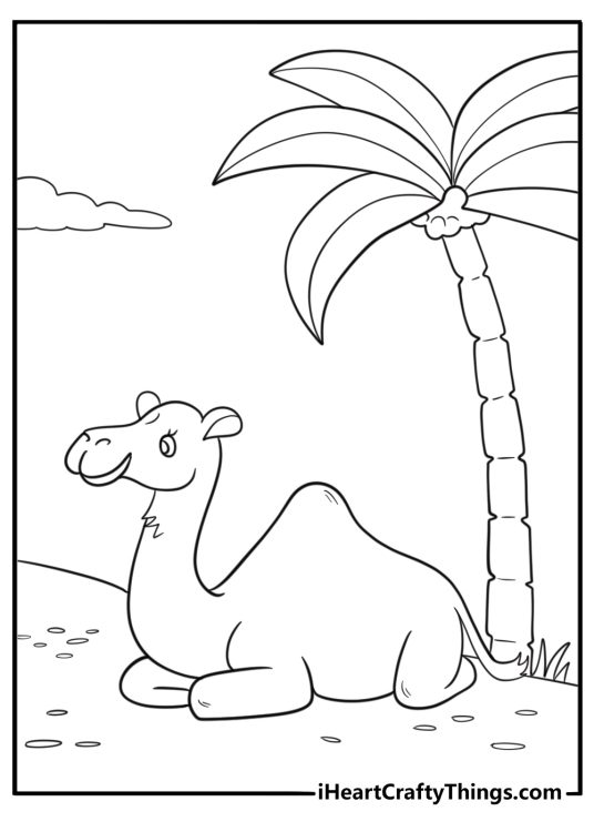 Camel sitting under a palm tree fun desert scene coloring sheet