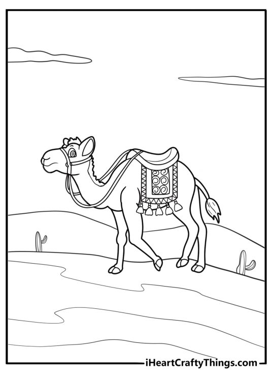 Camel walking along a narrow desert trail fun adventure coloring sheet