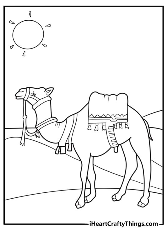 Camel walking through the desert easy coloring page for kids