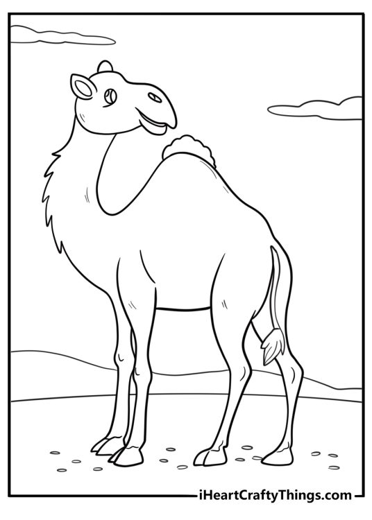 Camel with head turned looking back cartoon coloring page