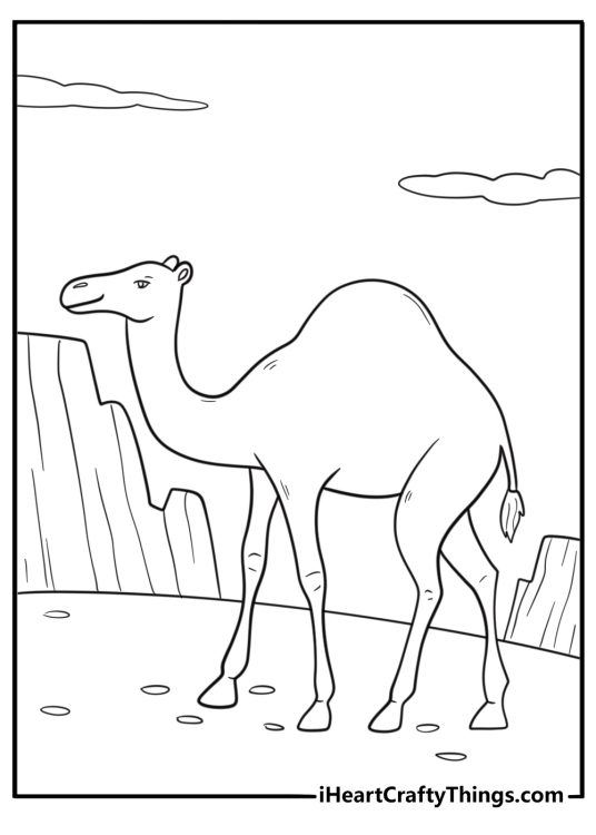 Camel with long legs and curved neck coloring page for kids
