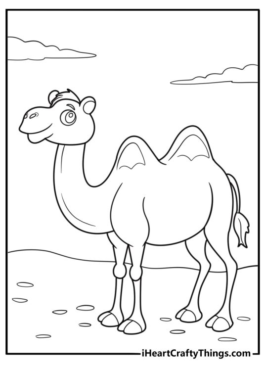 Cartoon camel standing with two humps fun coloring sheet