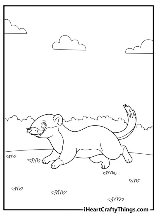 Cartoon ferret running through grass fun coloring sheet