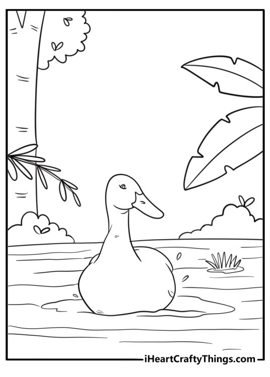 Cartoon goose swimming in a pond fun coloring sheet