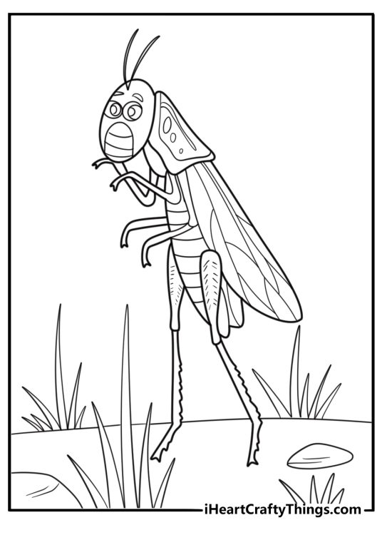 Cartoon grasshopper standing on two legs fun coloring sheet
