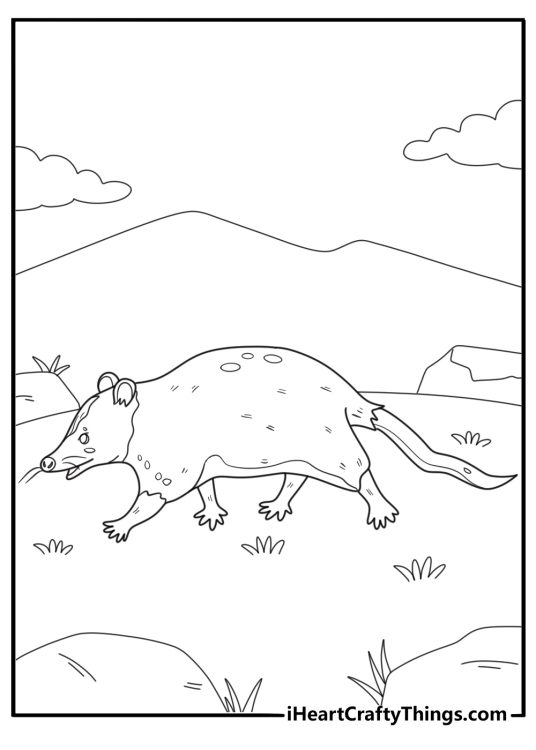 Cartoon opossum walking through grass fun coloring sheet for kids