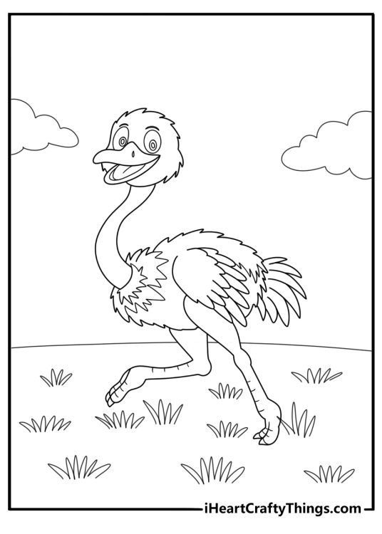 Cartoon ostrich running fast across grassland fun coloring sheet