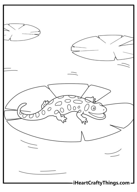 Cartoon salamander sitting on a lily pad fun coloring sheet