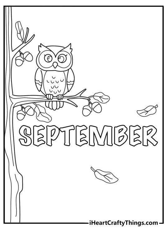 cartoon style word September with owls and acorns on tree branches fun coloring sheet