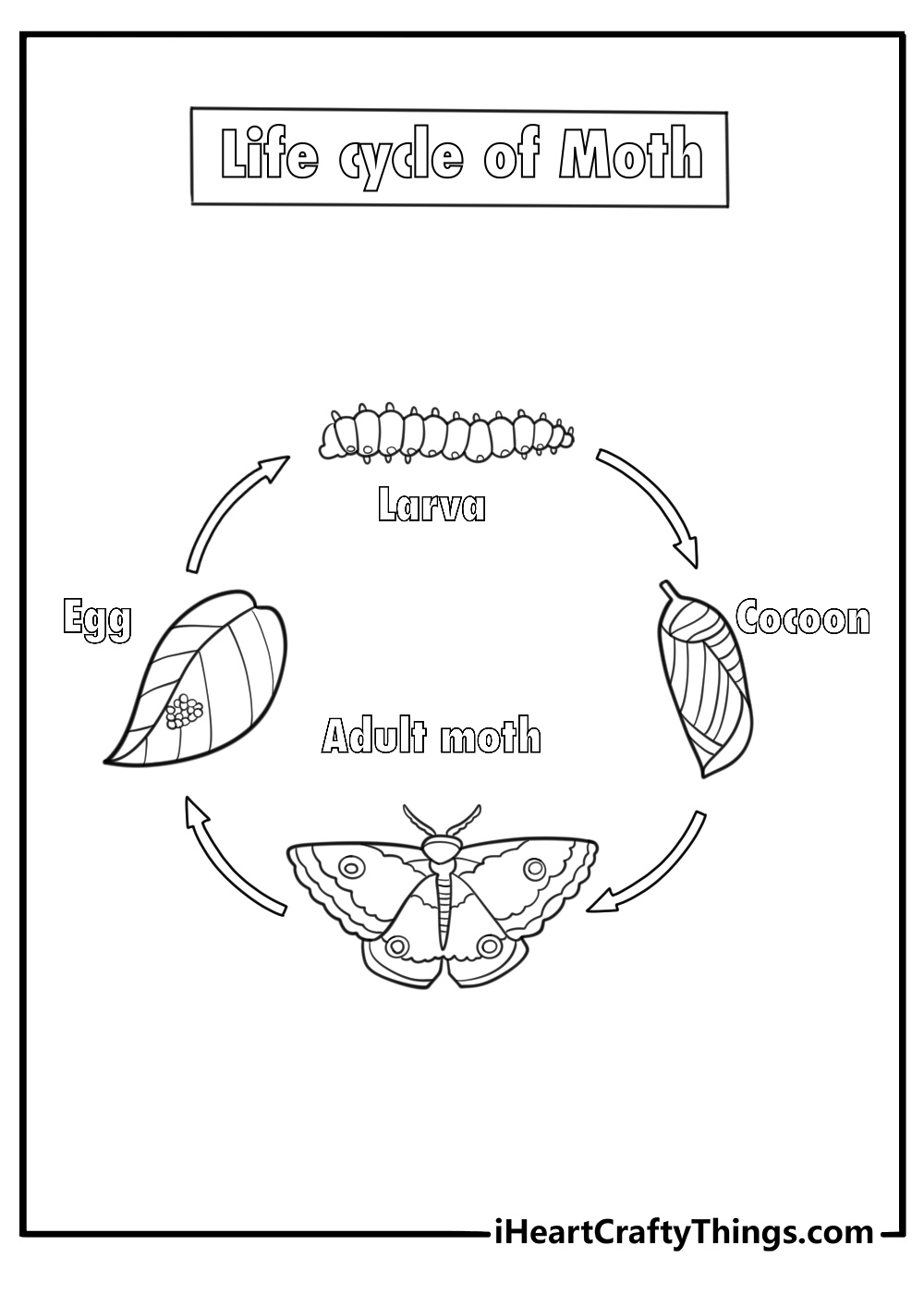 caterpillar turning into moth life cycle coloring page