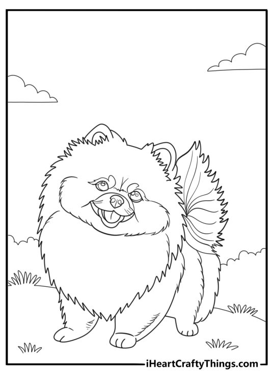 Cute cartoon pomeranian with fluffy fur fun coloring sheet