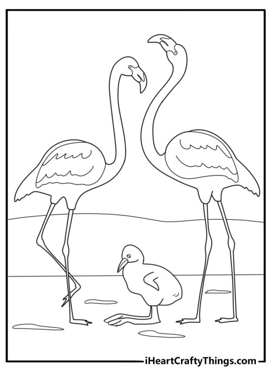cute flamingo chick standing near its mother coloring page