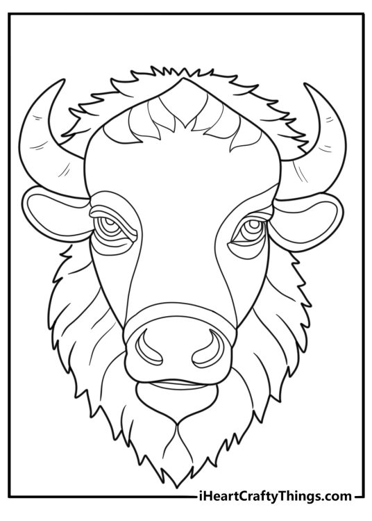 Detailed bison head close up realistic coloring sheet