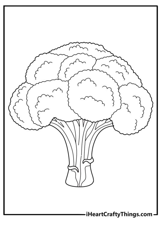 Detailed broccoli close up vegetable coloring sheet for adults