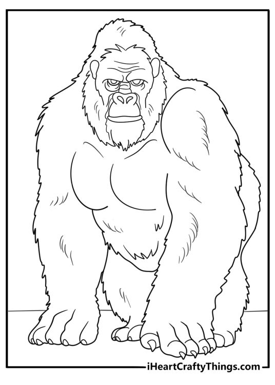 detailed king kong face close up portrait coloring page