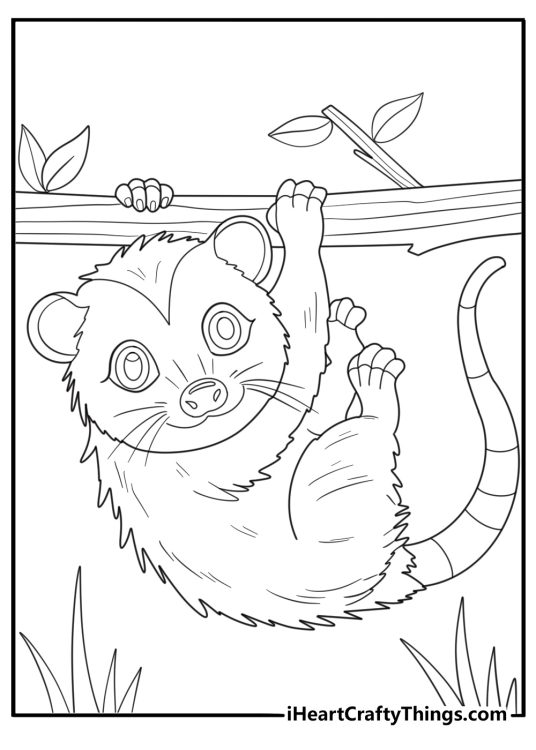 Detailed opossum in wild habitat with trees and plants coloring page for adults