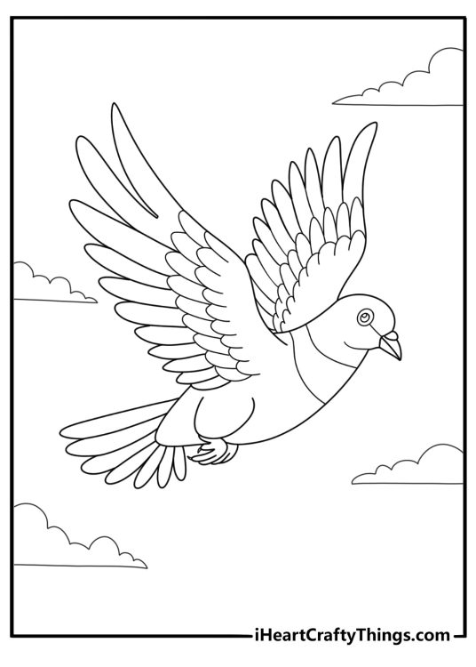 Detailed pigeon with spread wings in flight coloring sheet